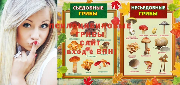 дурь Белокуриха