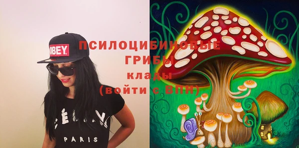 дурь Белокуриха