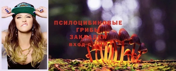 прущий лед Беломорск