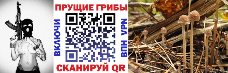 Галлюциногенные грибы мухоморы  Купить где  Медвежьегорск 